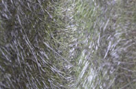 Sturbridge fibreglass roof work